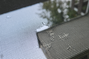 Vyzobaná sieťovina od vtákov