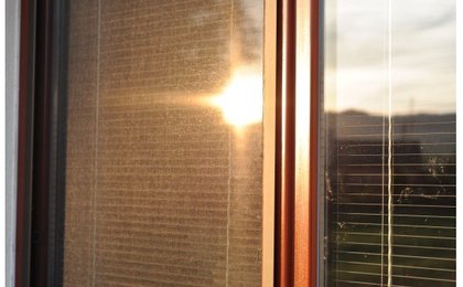 Dávať dole siete proti hmyzu na zimu: Áno alebo nie?