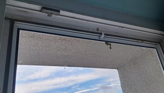 Výmena siete proti hmyzu zadarmo